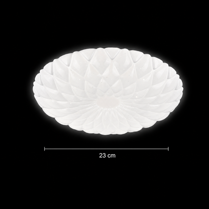 Φωτιστικό οροφής LED 23 cm, 22W, 3000K / 4000K / 6000K, Λευκά, μεταλλικά και ακρυλικά φωτιστικά οροφής LED Προεπιλεγμένος τίτλος Alessandro Design