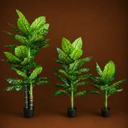 Τεχνητό φυτό Τύπος Dieffenbachia, 150 cm, Πράσινο