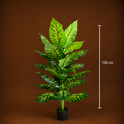 Τεχνητό φυτό Τύπος Dieffenbachia, 150 cm, Πράσινο