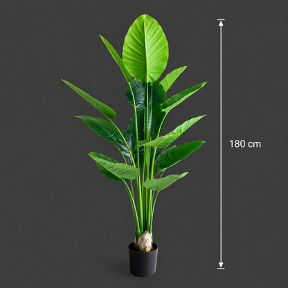 Τεχνητό φυτό Τύπος Στρελίτζια, 180 cm, 15 φύλλα, Πράσινο