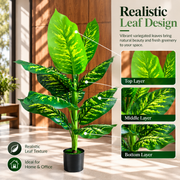 Τεχνητό φυτό Τύπος Dieffenbachia, 100 cm, Πράσινο