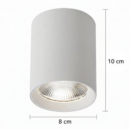 Προβολέας LED TINNIE, Σταθερός, 8W, Ουδέτερος φωτισμός 4000K, Λευκός
